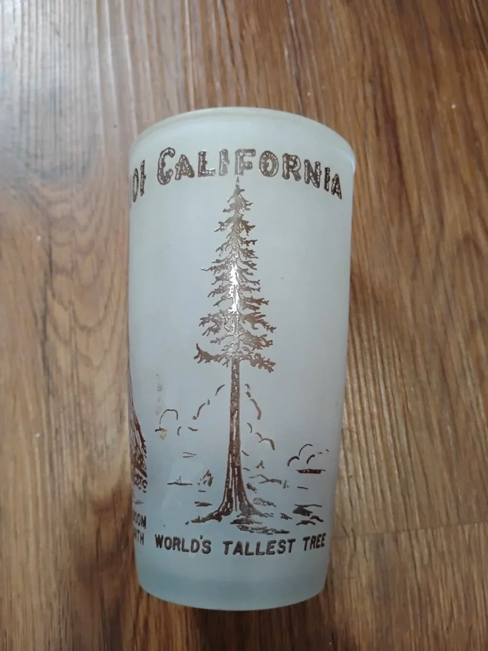 Vintage Redwood California Drive-Thru Tree Highway 101 Frosted Glass